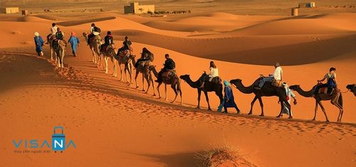 Nên đi tour Safari Châu Phi có người hướng dẫn hay tự đi?