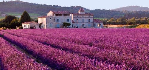 6 điều nên và không nên làm khi du lịch Pháp