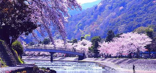 7 sức hút hấp dẫn của du lịch Nhật Bản với người Việt Nam