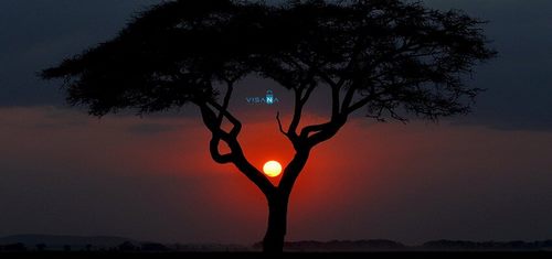 Kinh nghiệm du lịch Kenya