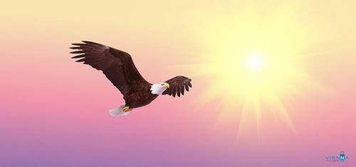 Định cư Mỹ EB3