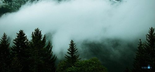 Du lịch Auckland – Bỏ túi những kinh nghiệm sau đây!