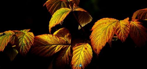 Top 06 địa điểm du lịch nước ngoài hot nhất vào mùa thu