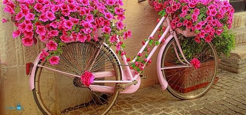 10 bước chuẩn bị cho một chuyến du lịch châu Âu hoàn hảo