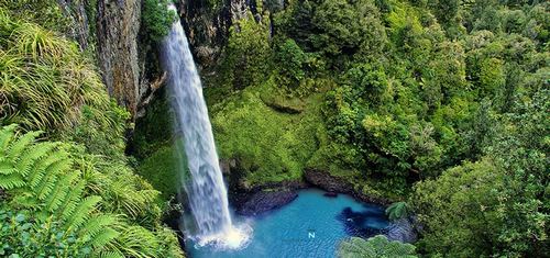 5 điều không thể không biết trước chuyến du lịch New Zealand