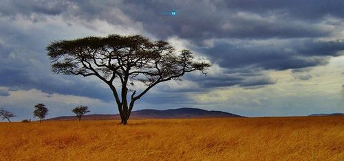 Chuẩn bị du lịch Tanzania