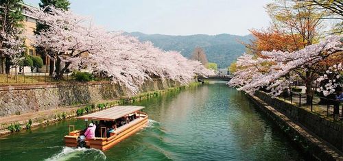 9 trải nghiệm độc đáo chỉ có khi du lịch Nhật Bản