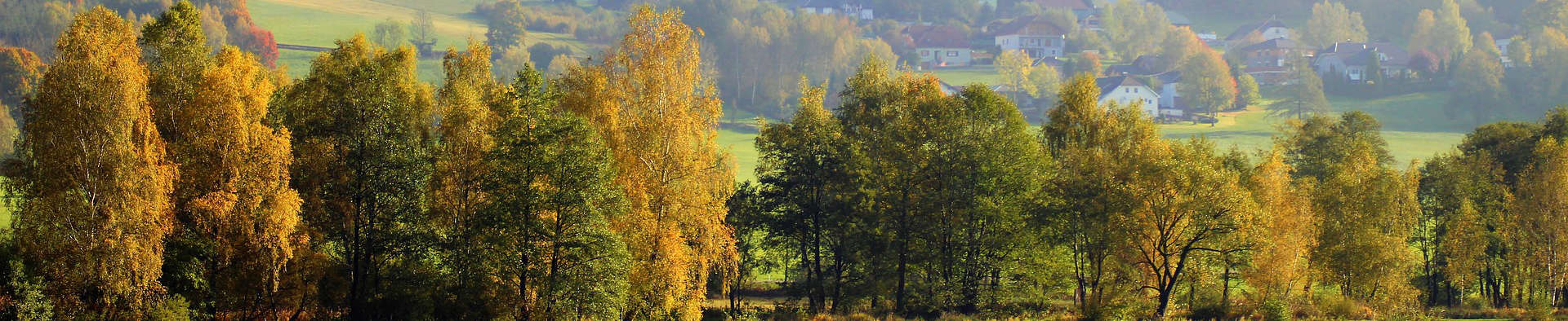 Dịch vụ hỗ trợ làm Visa Áo du lịch, công tác và thăm thân