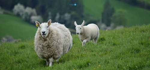 Tổng hợp bí kíp ăn chơi Ireland