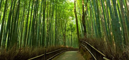 8 địa điểm du lịch Nhật Bản nên đi khi bước sang tuổi 30